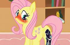 pony little sex gif xxx fluttershy dildo pussy mlp ass cum anus friendship toy quinn harley gaping magic solo animated