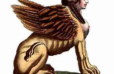 sphinx mythological oedipus mythology mythologie