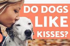 kisses dogs do affection