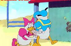 duck donald sex angry daisy gif bird animated rule 34 deletion flag options edit respond