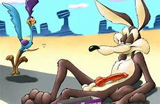 roadrunner coyote tunes tubezzz looney karabiner wile