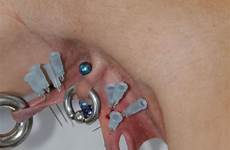 pussymodsgalore labia pierced piercings