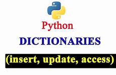 python dictionary operations basic insert