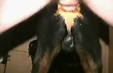 man animals dog female vagina zoo videos horny pounds viewed most wet