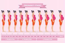 pregnancy week symptoms changes body during trimester first change chart do pregnant woman baby physical weeks stages when after mother
