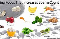 sperm production fertility boost increases vitamin counts