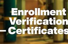 verification enrollment certificates cypress college