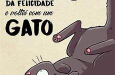 gato gatinhos mae felicidade fui voltei adoráveis