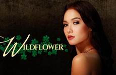 wildflower maja abs teleserye cbn francetvpro pinoy