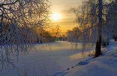 winter snow landscape landscapes beautiful nature lovely