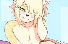 furry tokifuji solo newhalf canine femboy xxx nude eyes artist bed nsfw patreon dreamy village comments post respond edit hentai