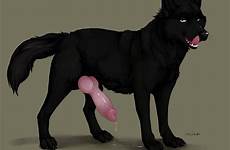 feral wolf solo knot xxx canine male penis animal erection link post respond edit posts e621 furaffinity user direct
