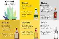 agave tequila spirits distilleries sales