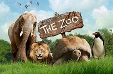zoo who cbbc animals bbc zoos furry quiz ichef bbci national friends visit these water games today