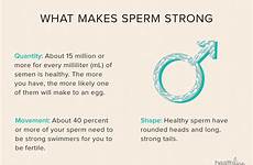 sperm fertile checklist ovum difference infographic newinfo