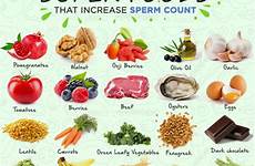 sperm count fertility semen infertility