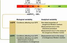 gfr kidney egfr number abstract rate measured exactly knowing when pdf