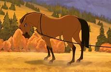 spirit stallion cimarron horse 2002 beauty rain vs yify movie film movies dreamworks 720p dreager1 torrent torrents hdtv 550mb yts