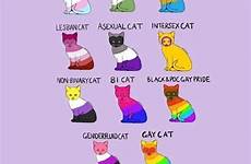 lgbt lgbtq pansexual bandeira defendanimals