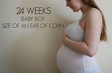 24 weeks week baby pregnancy