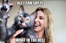 yikes imgflip cat hell meme maybe funny cats say memes