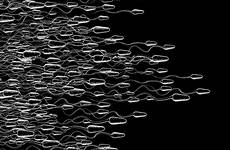 sperm collection wallpaper masterbation techniques cell infertility male semen wallpapers brunt ten bear need know before things women make egg