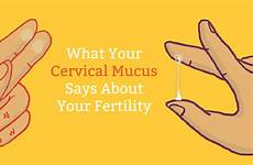 mucus cervical chart when know fertile yellow sign pregnant pregnancy natural does fertility re tell lot use check phase based
