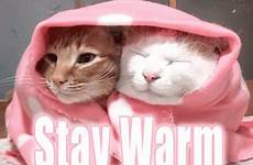 gif warm cold stay gifs weather keep cats cat snuggle kittens staywarm cuddle its tenor dogs miserable