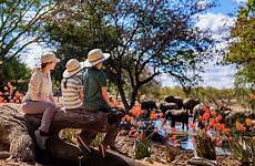 family africa kenya safari goway vacation