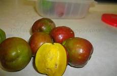 trinidad fruit plum trinidadian hog recipes benefits tobago they sweet degree depending ripeness tart west