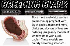 breeding interracial tumblr women babies breedingblack fucking