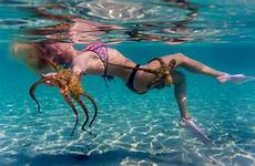 octopuses woman hawaii octopus bikini water tentacles women swimming snorkeling shallow brown off coast group hawaiian make ocean has caters