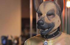 fetish dogs men dress who sex feed alpha pup delves sbs tv into said than just