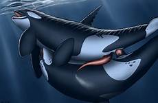 whale baleine porno orca poilu deletion flag rule