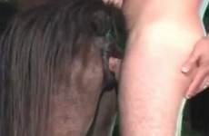 horse man zootube1 videos zoo tube