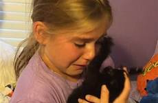girl kitten little her surprised kitty breaks down arms