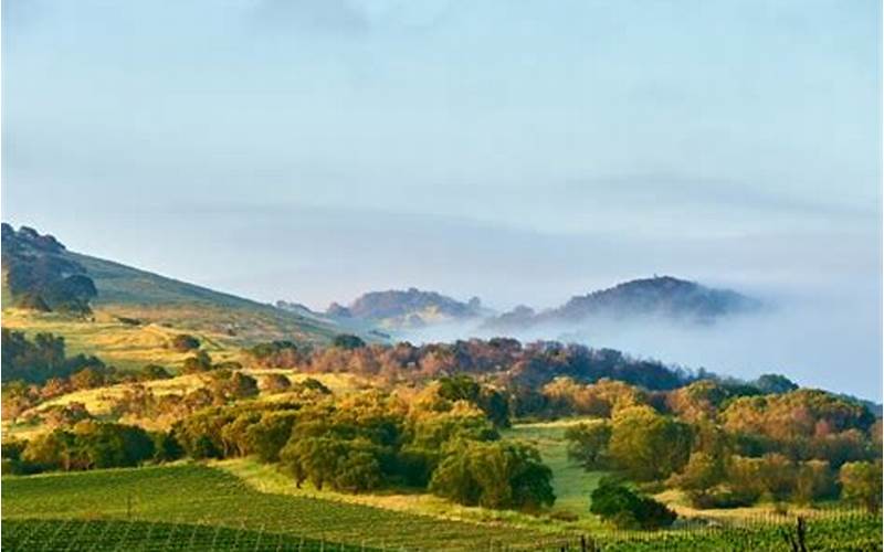  Experience Luxury Jet Charter To Napa Valley 