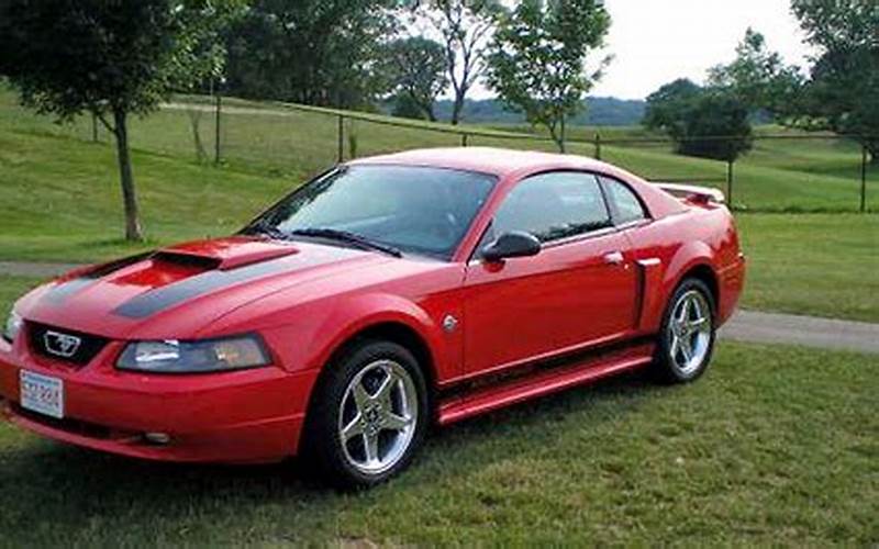 2004 Ford Mustang Gt 40Th Anniversary Edition Interior