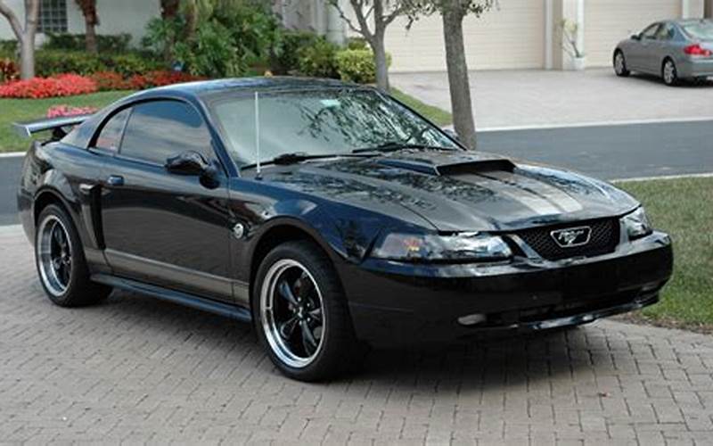2004 Ford Mustang Shelby Benefits