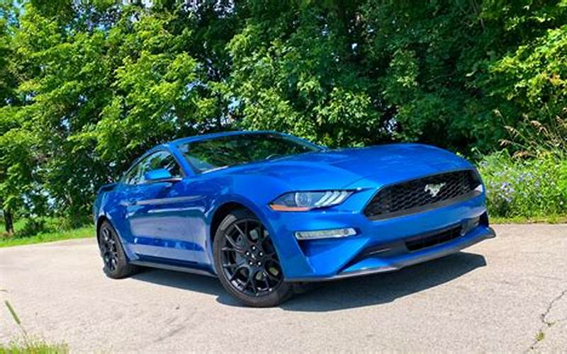 2019 Ford Mustang Performance