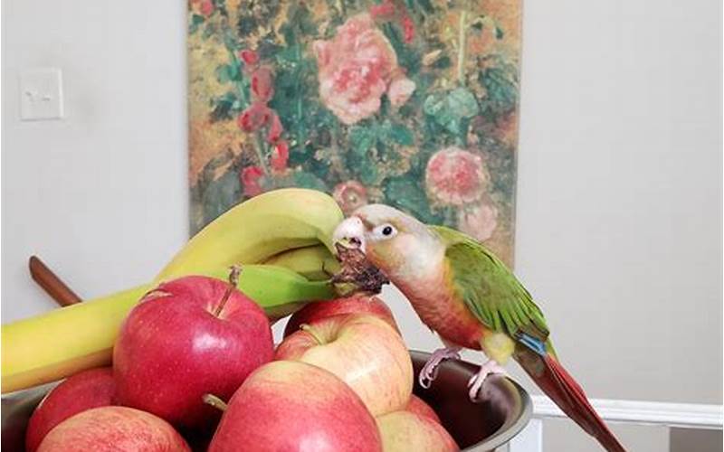 A Conure On A Bowl Of Fruit