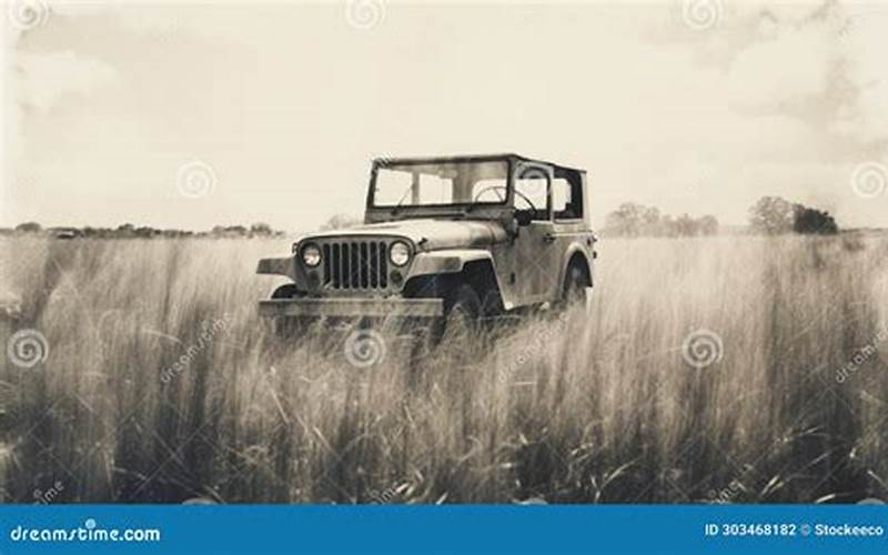A Line Of Vintage Jeeps Parked On A Grassy Field