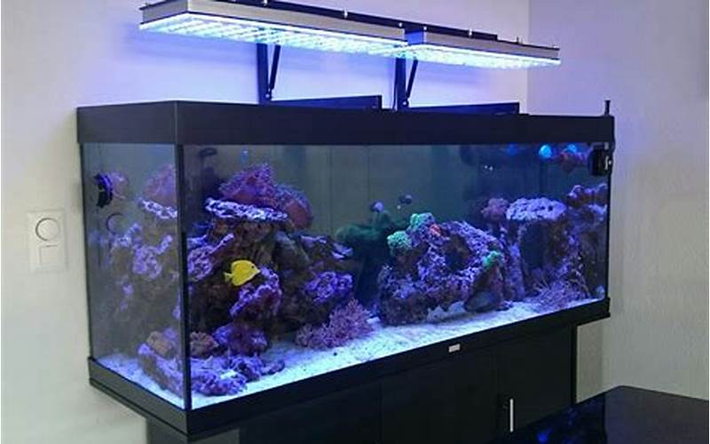 A Picture Of Aquarium Lighting