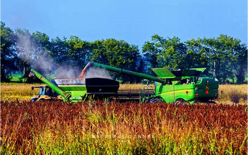 Agriculture In Arkansas