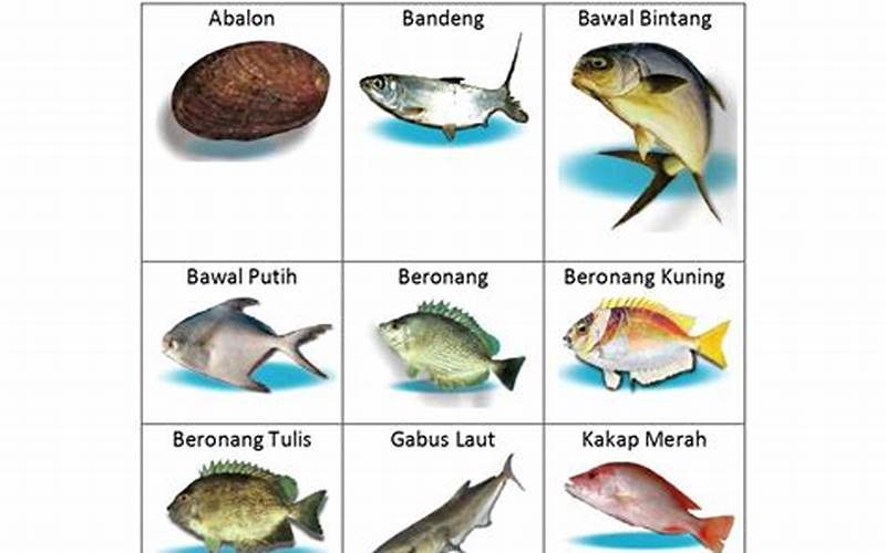 Apakah Ikan Laut Menyebabkan Jerawat?