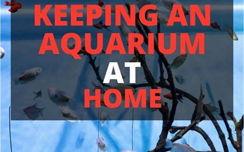 Aquarium Benefits