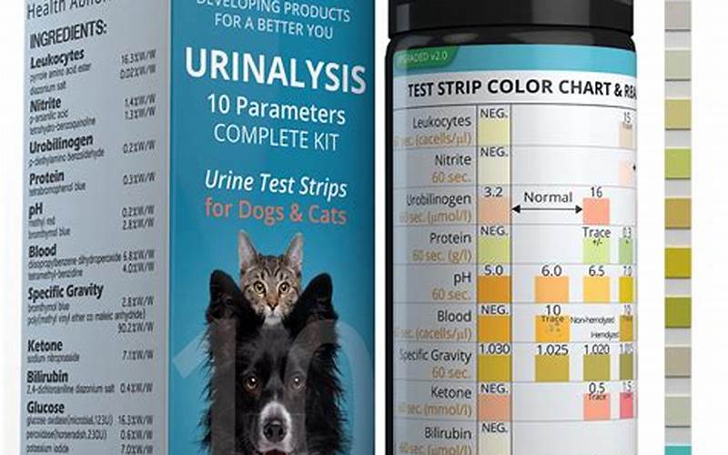 Are Dog And Human Urine Test Strips The Same
