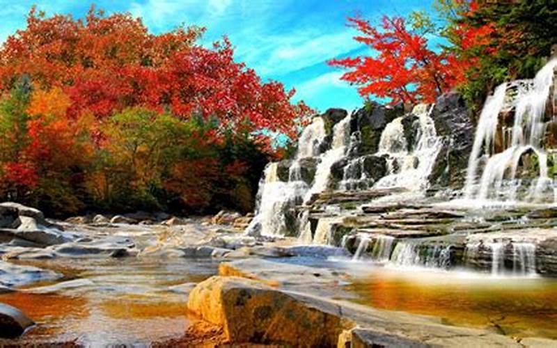 Autumn Falls Background