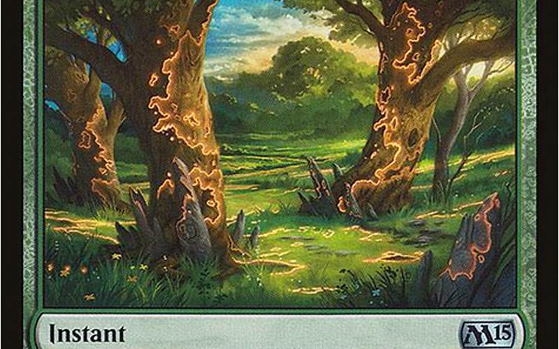 Back To Nature Mtg Conclusion