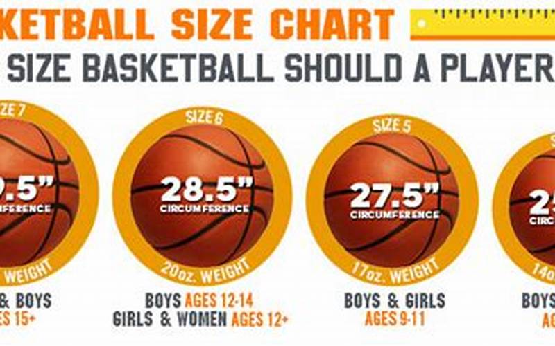 Basketball Comparison